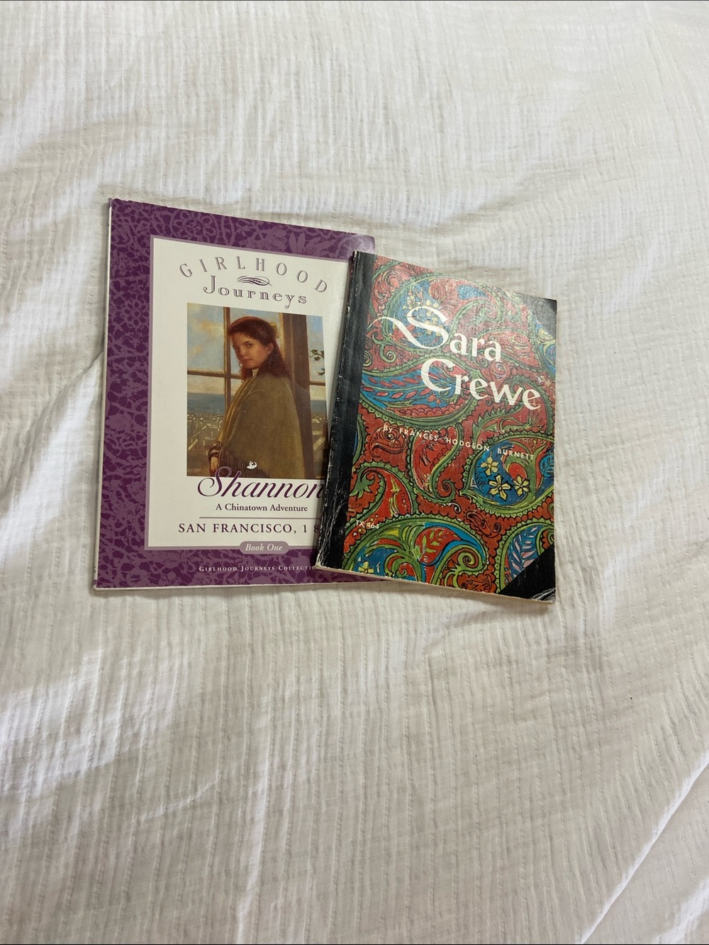 Sara Crewe & Shannon Girlhood Journeys Book Set - Purple & Multicolor Covers